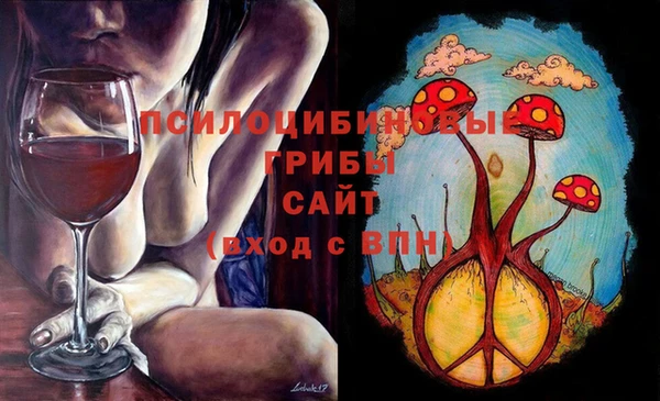 ГАЛЛЮЦИНОГЕННЫЕ ГРИБЫ Алзамай
