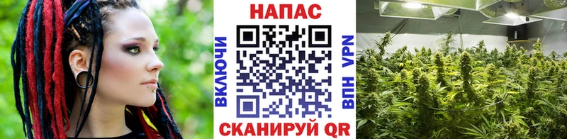 это телеграм  сколько стоит  Инза  Канабис марихуана 